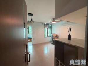美城苑 逸城閣 (B座) - 28NTS – 香港北部都會區