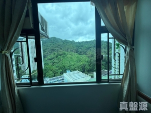 美城苑 逸城閣 (B座) - 28NTS – 香港北部都會區