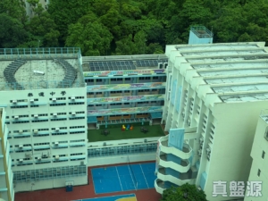 美城苑 逸城閣 (B座) - 28NTS – 香港北部都會區