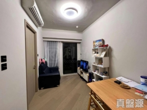 柏傲莊 1期 3座 (3B) - 28NTS – 香港北部都會區