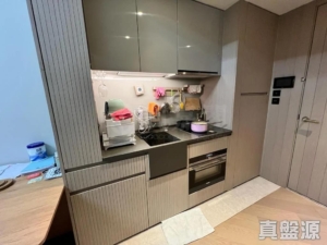 柏傲莊 1期 3座 (3B) - 28NTS – 香港北部都會區