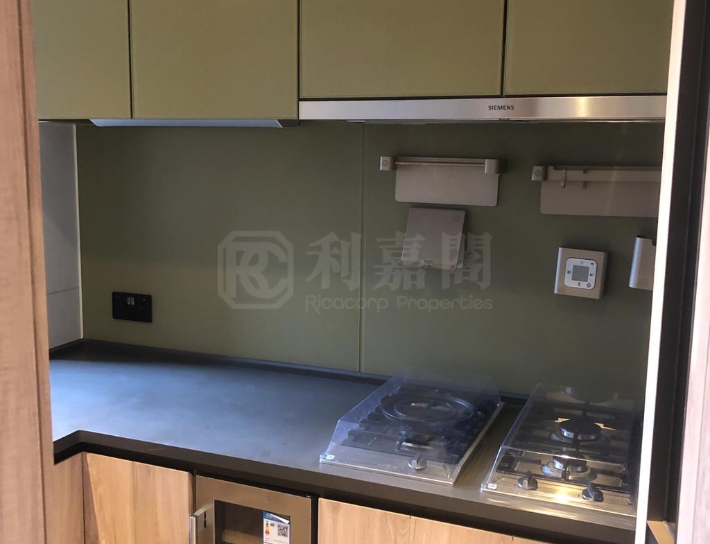 柏傲莊 3期 1座 (1B) - 28NTS – 香港北部都會區