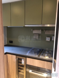 柏傲莊 3期 1座 (1B) - 28NTS – 香港北部都會區