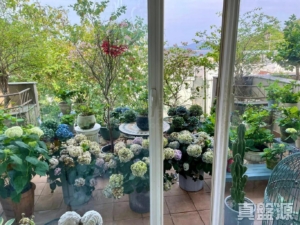 比華利山別墅 1期 - 28NTS – 香港北部都會區