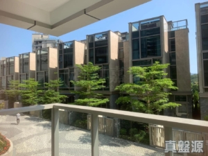 富豪‧山峯 - 28NTS – 香港北部都會區