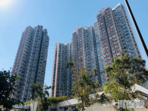 上水名都 巴黎閣 (3座) - 28NTS – 香港北部都會區