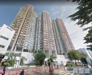 上水名都 巴黎閣 (3座) - 28NTS – 香港北部都會區