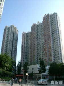 上水名都 巴黎閣 (3座) - 28NTS – 香港北部都會區