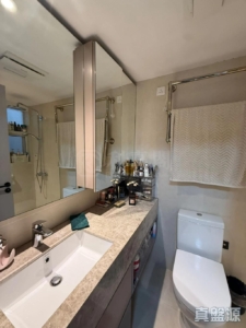 新翠山莊 38座 - 28NTS – 香港北部都會區