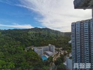 華明邨 添明樓 (7座) - 28NTS – 香港北部都會區