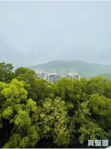 澐瀚 - 28NTS – 香港北部都會區