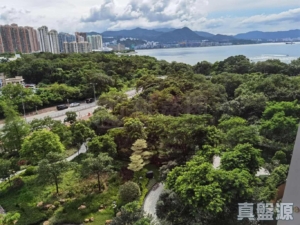 迎海 4期 迎海．駿岸 8座 - 28NTS – 香港北部都會區