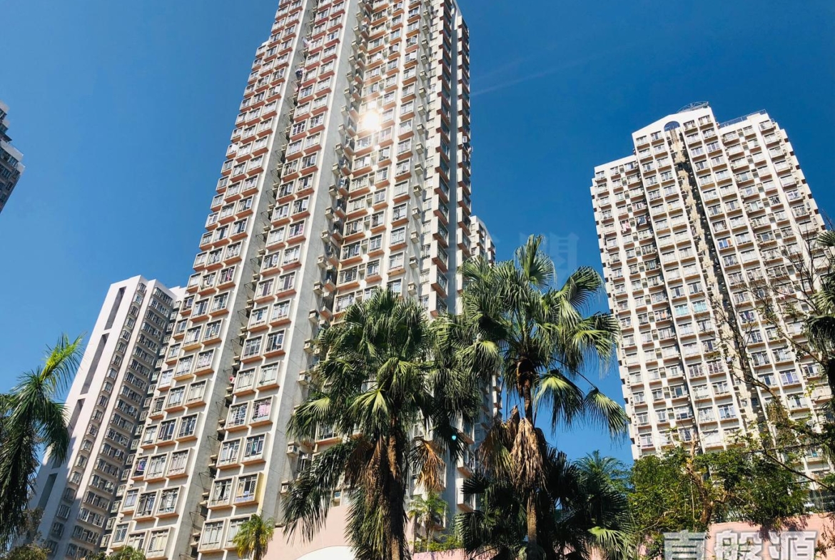 龍豐花園 A座 - 28NTS – 香港北部都會區
