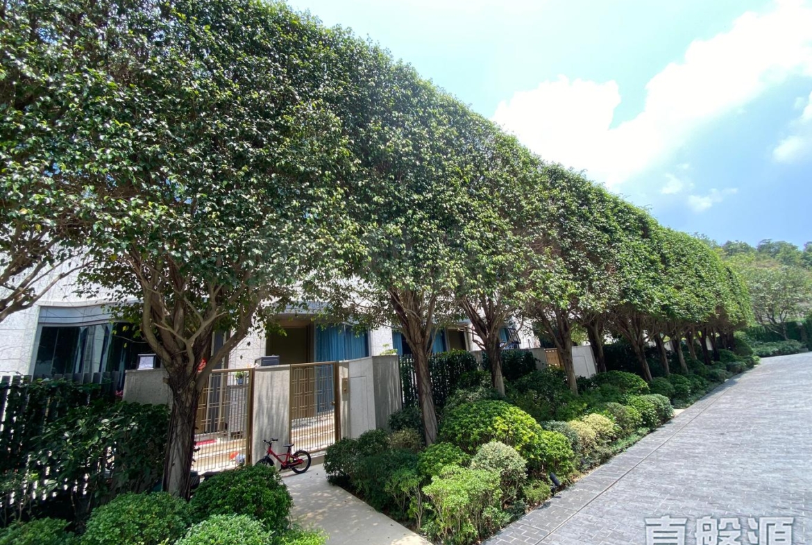 澐灃 - 28NTS – 香港北部都會區