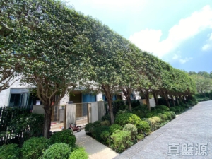 澐灃 - 28NTS – 香港北部都會區