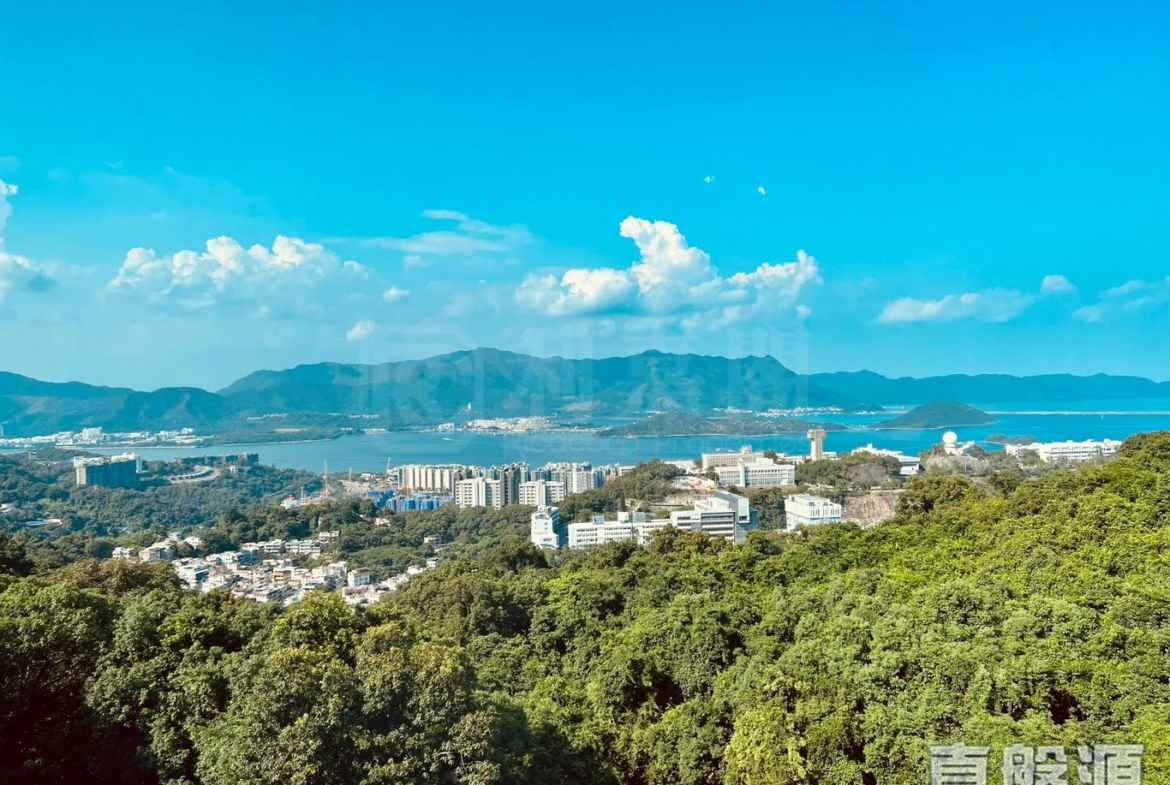 澐灃 2座 - 28NTS – 香港北部都會區