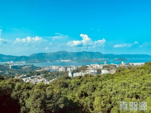 澐灃 2座 - 28NTS – 香港北部都會區