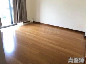 歌賦嶺 - 28NTS – 香港北部都會區