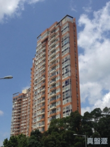 1787852471082ec1ee-1cd1-4ea1-9542-f1d2639b9981.jpeg 晉名峰 A座 - 28NTS – 香港北部都會區