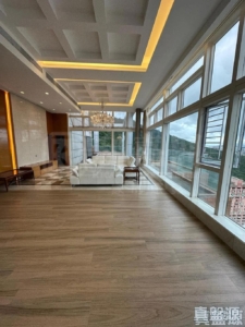 晉名峰 A座 - 28NTS – 香港北部都會區
