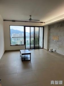 大埔寶馬山 9座 - 28NTS – 香港北部都會區