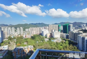 晉名峰 B座 - 28NTS – 香港北部都會區