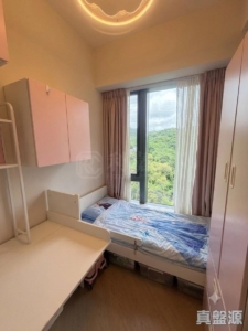 天鑽 11座 - 28NTS – 香港北部都會區