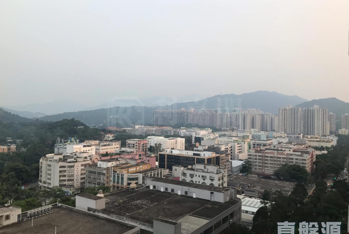 逸峯 2座 - 28NTS – 香港北部都會區