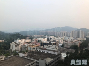 逸峯 2座 - 28NTS – 香港北部都會區