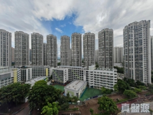 YOHO WEST 2期 YOHO WEST PARKSIDE 1A座 - 28NTS – 香港北部都會區