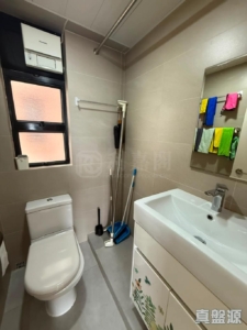 新港城 4期 J座 - 28NTS – 香港北部都會區