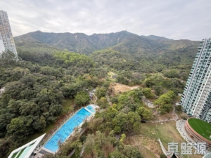 嵐山 1期 5座 - 28NTS – 香港北部都會區