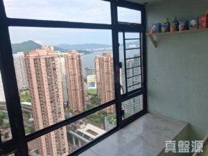 新港城 4期 F座 - 28NTS – 香港北部都會區