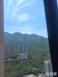 新港城 4期 F座 - 28NTS – 香港北部都會區