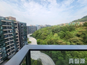 天鑽 19座 - 28NTS – 香港北部都會區