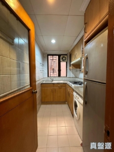 大埔寶馬山 7座 - 28NTS – 香港北部都會區