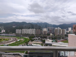 銀禧花園 4座 - 28NTS – 香港北部都會區