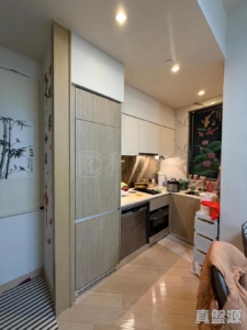 天鑽 8座 - 28NTS – 香港北部都會區