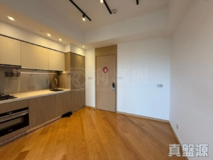 天鑽 1座 - 28NTS – 香港北部都會區