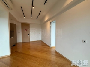 天鑽 1座 - 28NTS – 香港北部都會區