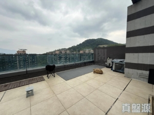 天鑽 1座 - 28NTS – 香港北部都會區