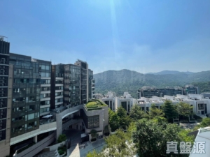 澐灃 - 28NTS – 香港北部都會區
