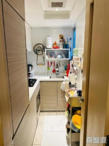 囍逸 2座 - 28NTS – 香港北部都會區