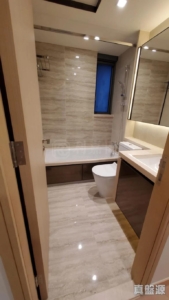 天鑽 17座 - 28NTS – 香港北部都會區