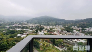 天鑽 17座 - 28NTS – 香港北部都會區