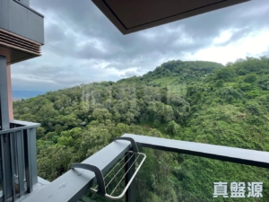天鑽 8座 - 28NTS – 香港北部都會區