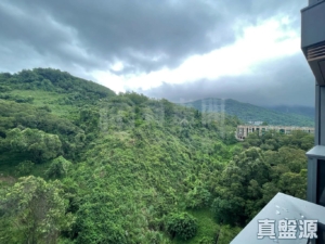 天鑽 8座 - 28NTS – 香港北部都會區
