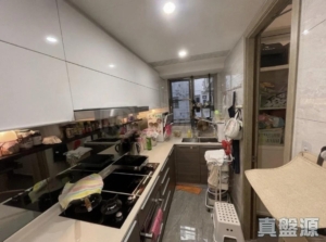 海日灣 COURT B 2座 - 28NTS – 香港北部都會區