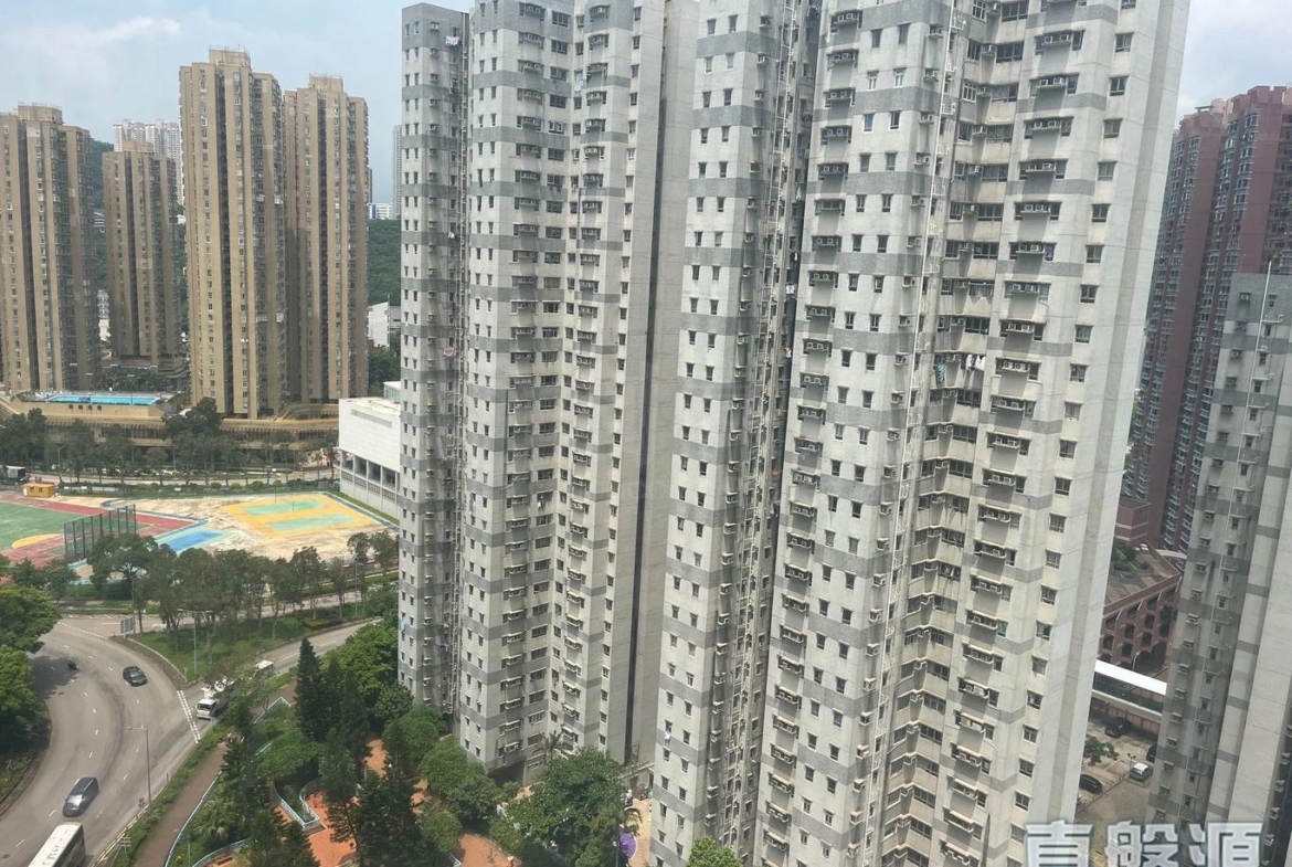翠怡花園 2期 8座 - 28NTS – 香港北部都會區