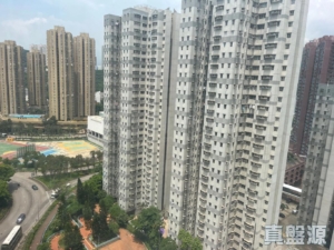 翠怡花園 2期 8座 - 28NTS – 香港北部都會區